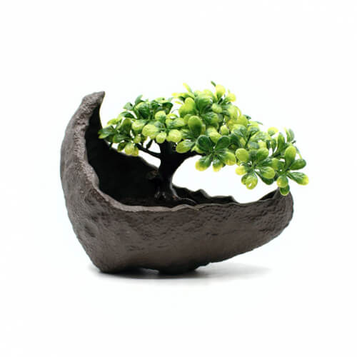 Halfmoon Bonsai-Schale in anthrazit